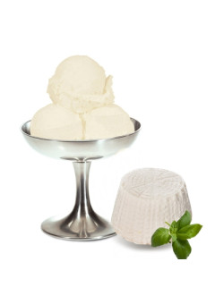 Итальянское джелато сыр рикотта SPEEDY Ricotta
