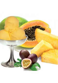 Итальянское джелато мультифрут стевия SPEEDY Frutta STV