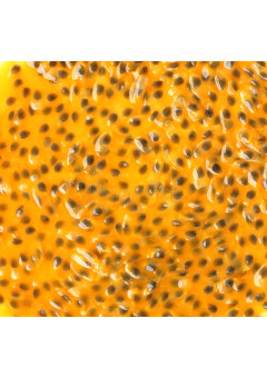 Мякоть маракуйя PreGel