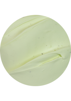 Паста киви PRIMAFRUTTA KIWI